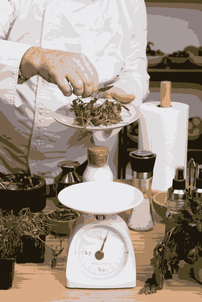 digital weighing scales for food businesses